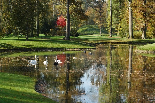 Der Herbst hält Einzug im Queen-Auguste-Victoria-Park.
Bald werden die Blätter fallen