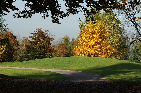 Harmonie im Queen-Auguste-Victoria-Park: Hügel, Weg, Tulpenbaum und Blutbuche fügen sich lieblich in die Landschaft.