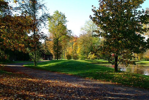 Herbststimmung im Blätterrausch des Fulwellparks