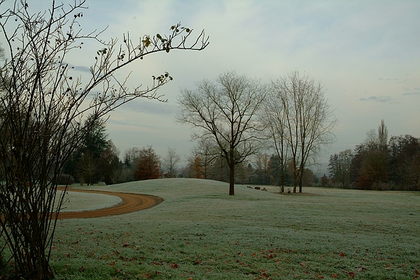 Der Weg zur Natur: Die Schlosswiese im Queen-Auguste-Victoria-Park ruht in sich