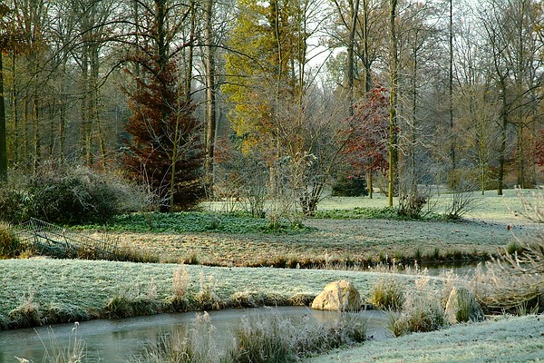 Verträumte Wald-Landschaft im Queen-Auguste-Victoria-Park