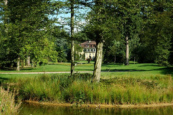 Durchblick durch stehen gelassene Wildnis im Queen-Auguste-Victoria-Park