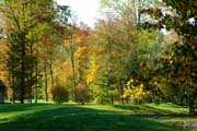 Waldcharakter im Licht des Fulwellparks