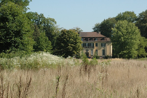 Unberührte Natur im Fulwellpark