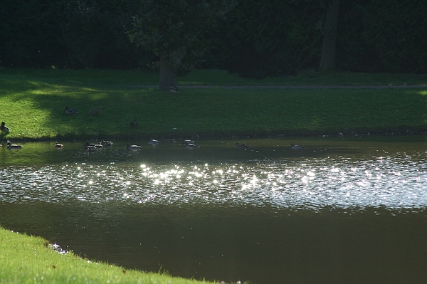 Queen-Auguste-Victoria-Park in Umkirch: Wasser und Licht zaubern Bilder