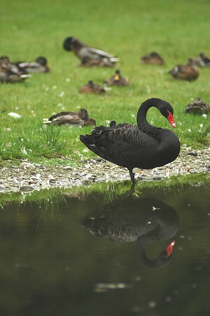 Der Fulwellpark: Wohlfühl-Landschaft für Artenvielfalt