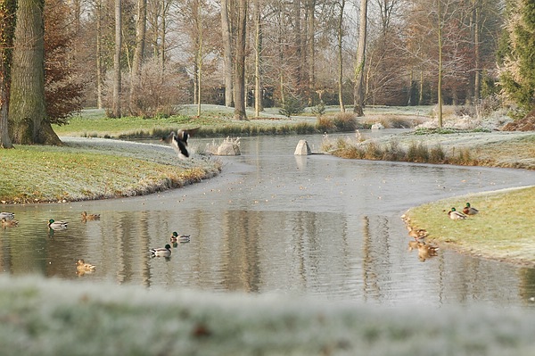 Winter-Märchenlandschaft im Queen-Auguste-Victoria-Park