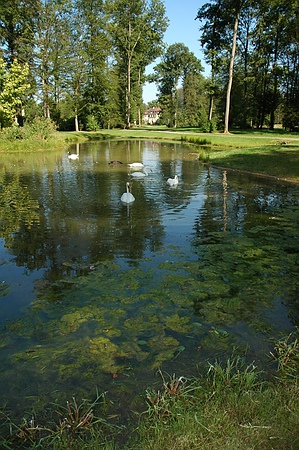 Blick über den Weiher zum Schloss im Queen-Auguste-Victoria-Park
