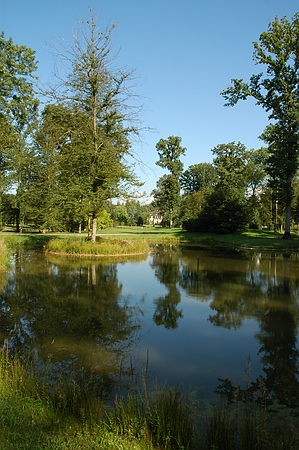 Blick über die Insel zum Schloss - 
Wasser als Spiegel der Natur im Queen-Auguste-Victoria-Park