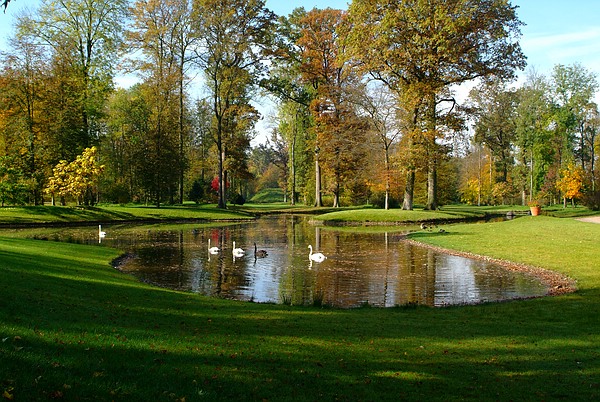 Das Licht des Herbstes steht über dem Queen-Auguste-Victoria-Park