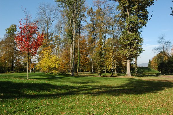 Offene Landschaft im Fullwelpark: rechts im Hintergrund der kleine Hügel und dahinter der Kaiserstuhl