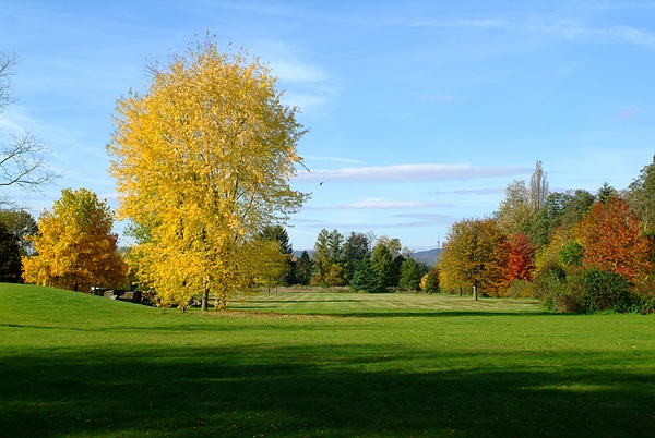 Blick vom Schloss über die Schlosswiese im  Fulwellpark