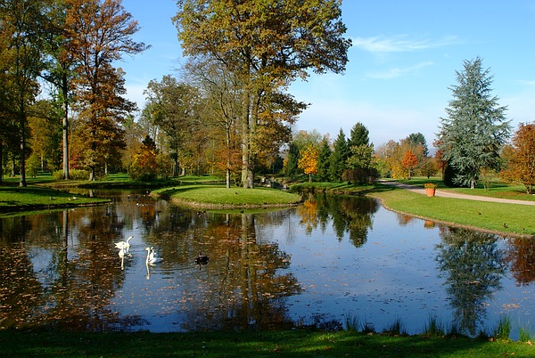 Geniales Landschaftsbild: Die blaue Traumlandschaft des Queen-Auguste-Victoria-Park